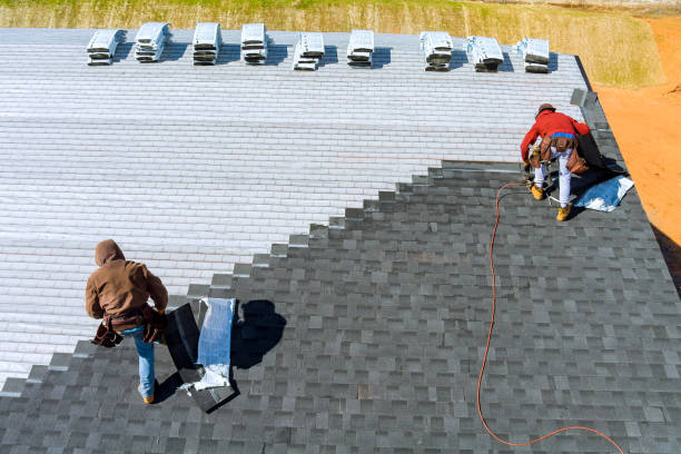 Roof Gutter Cleaning in Lake Erie Beach, NY